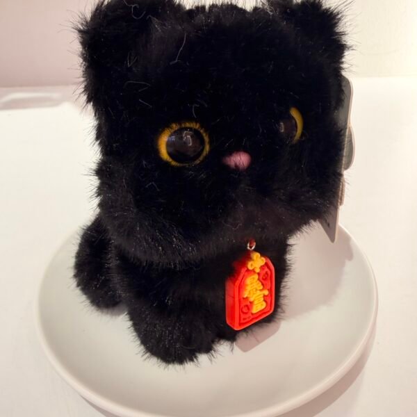 IMG_0706 Llavero gato negro cute