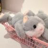 Peluche cute
