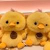 Peluche pato