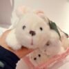 Peluche conejo