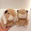 Peluche cobaya