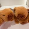 Peluche capybara