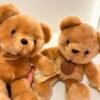 Peluche osito
