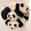 Peluche panda