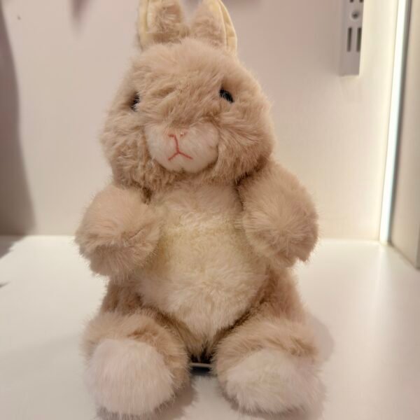 IMG_1344 Peluche conejo