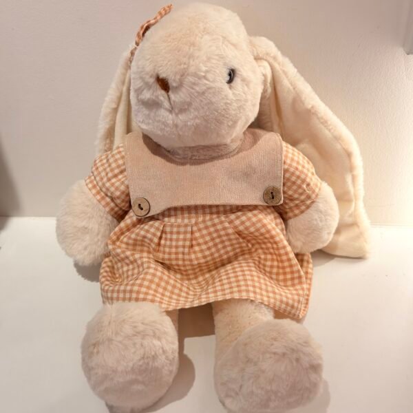 IMG_1364 Peluche conejo