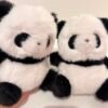 Peluche panda