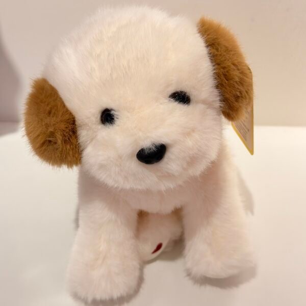 IMG_1468 Peluche perro