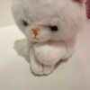 Peluche gato blanco M