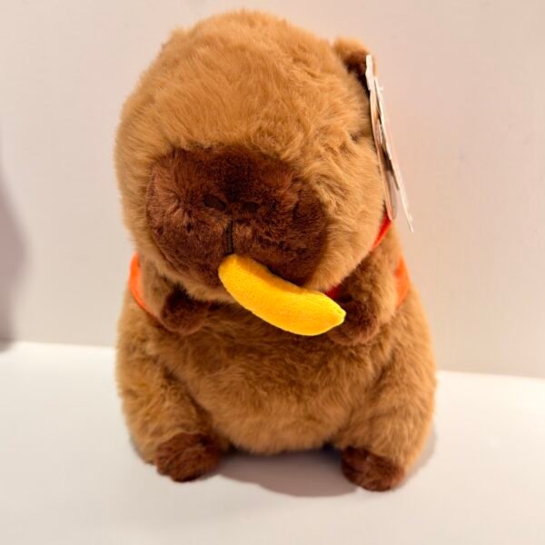 IMG_1540 Peluche de capybara patatas chips