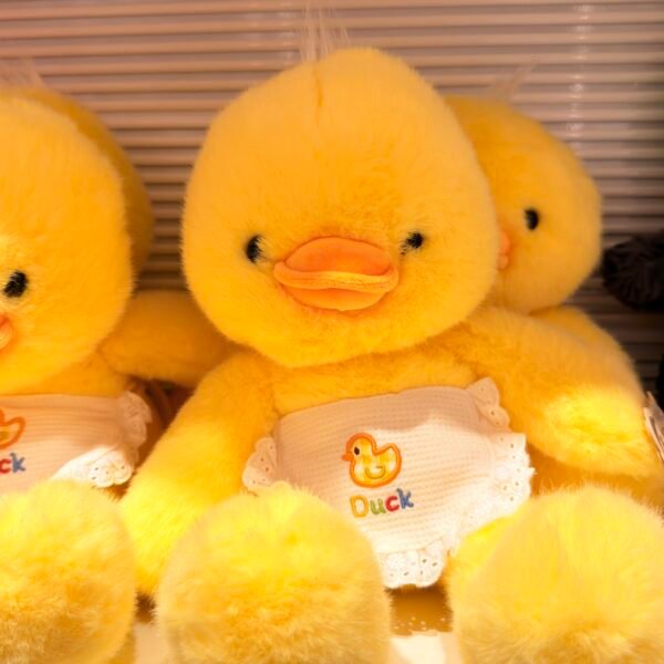 IMG_1966 Peluche pato