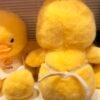 Peluche pato