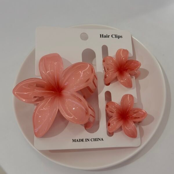 IMG_9447 Clip de pelo flor