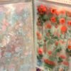Pegatina aesthetic roses