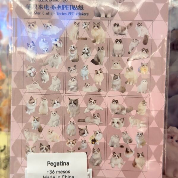 Pegatina gato