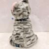 Peluche gato